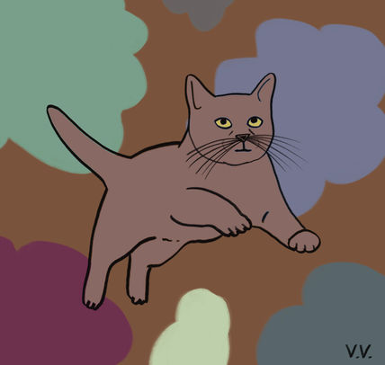 Gatito 7