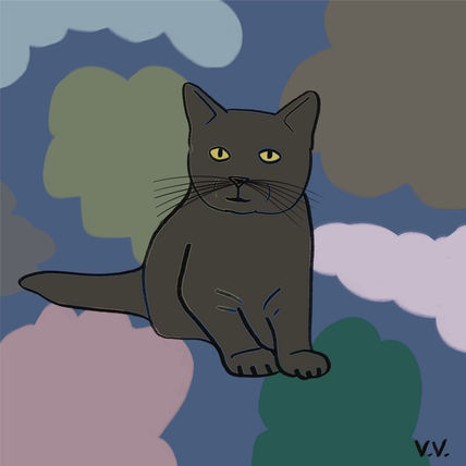 Gatito 8