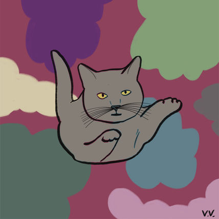 Gatito 9