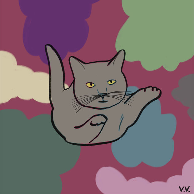 Gatito 9