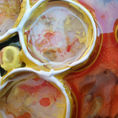 Warm nature — detail