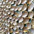 Emerged sprouts 4 — detail
