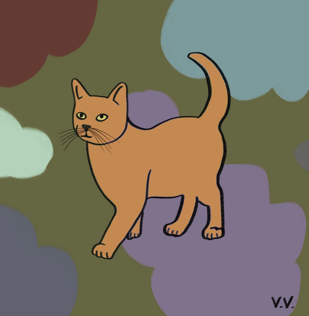 Gatito 11