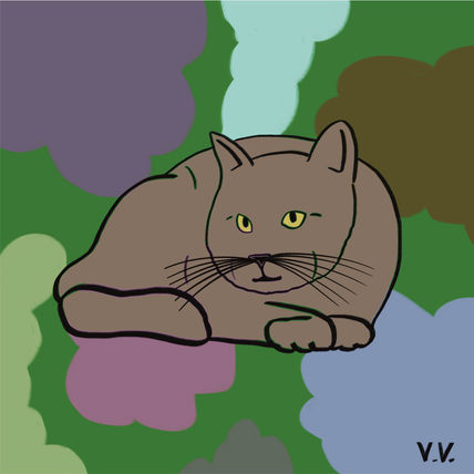 Gatito 12