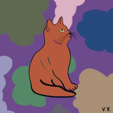 Gatito 13