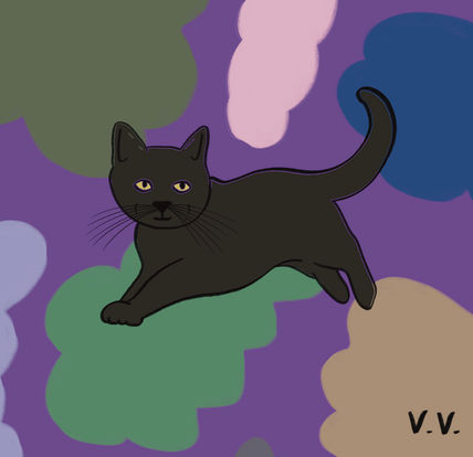 Gatito 15