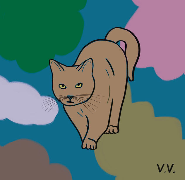 Gatito 16