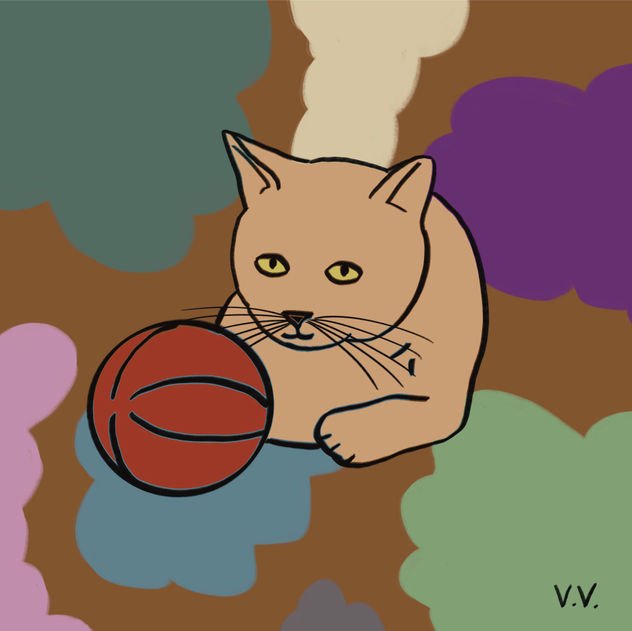 Gatito 17