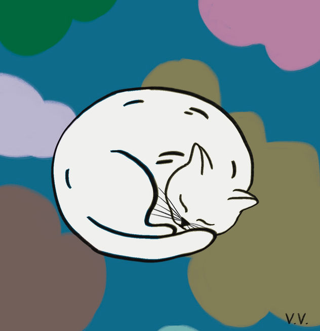 Gatito 18