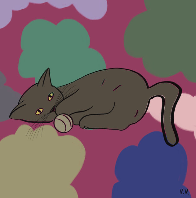 Gatito 19