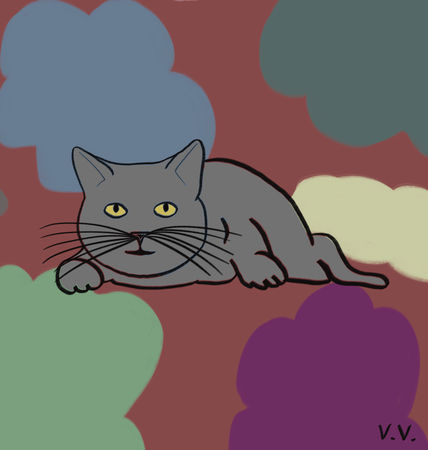 Gatito 20