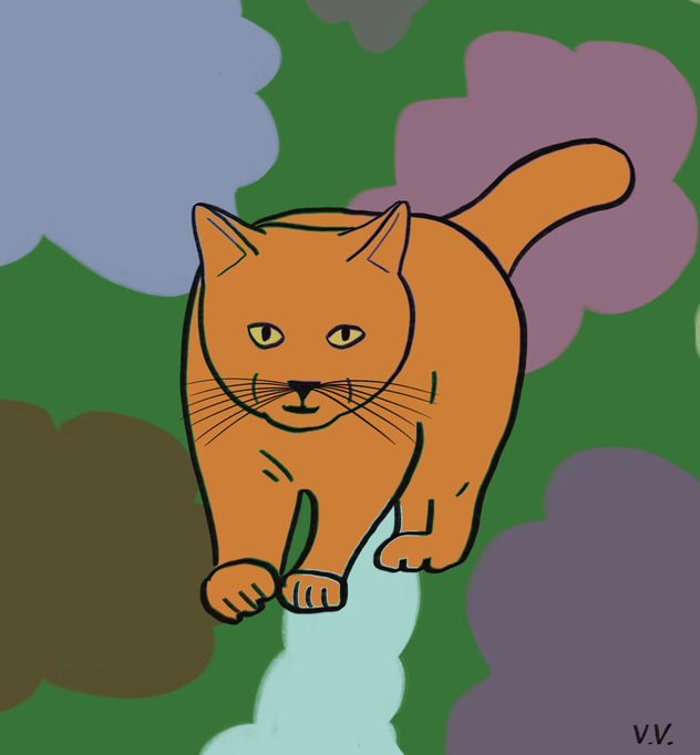Gatito 21