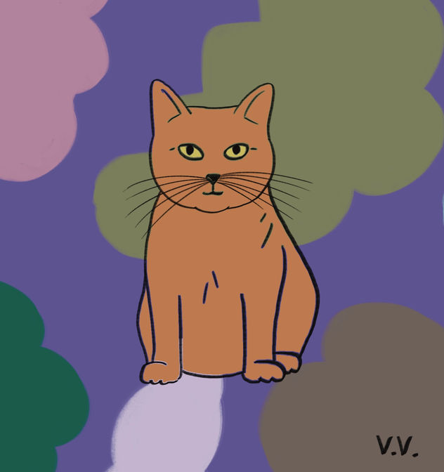 Gatito 22