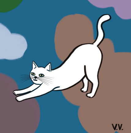 Gatito 23