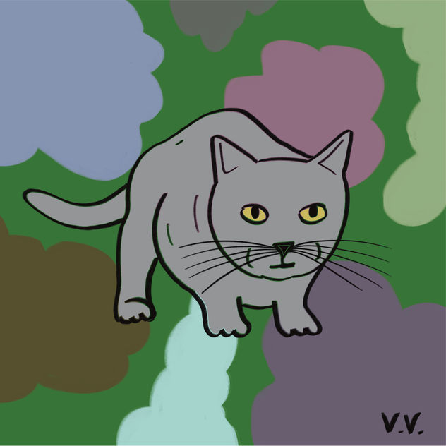 Gatito 24