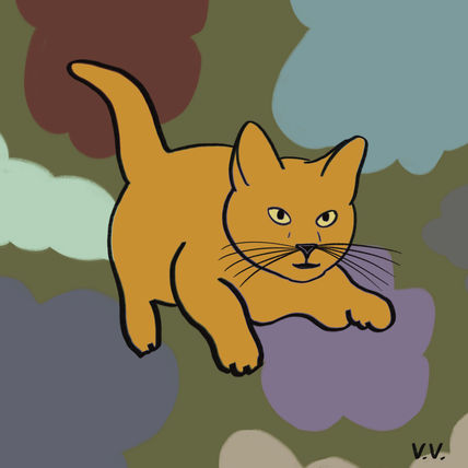 Gatito 26