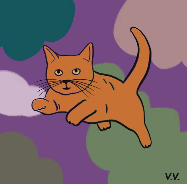 Gatito 27