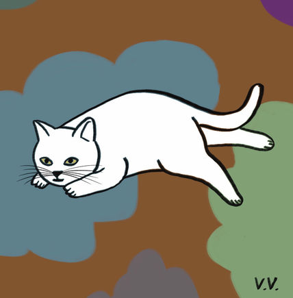 Gatito 28