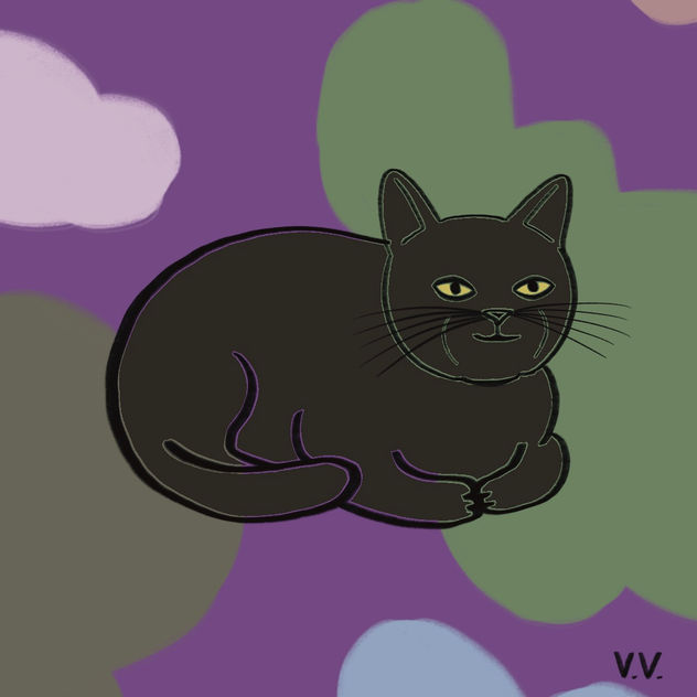 Gatito 29