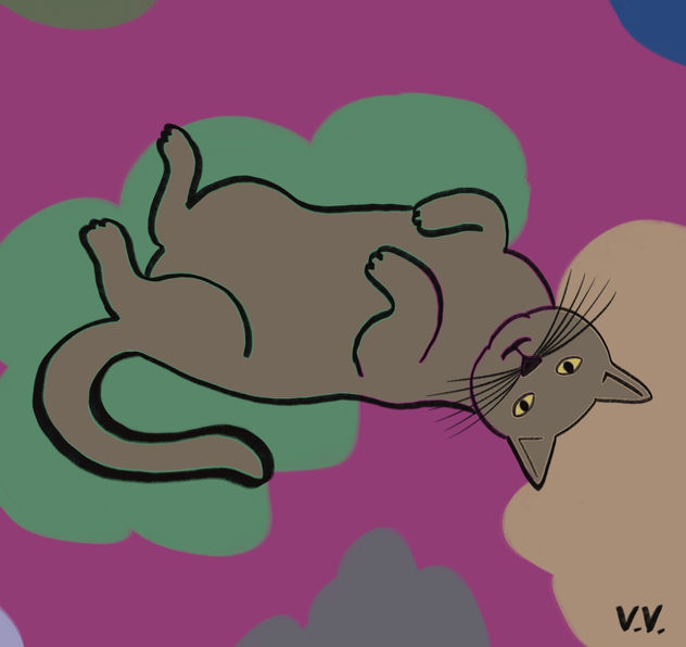 Gatito 30