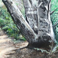 Camino Ivars d'Urgell — detalle
