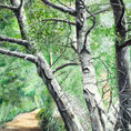 Camino Ivars d'Urgell — detalle