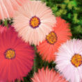 FLORES EN EL JARDÍN — detalle