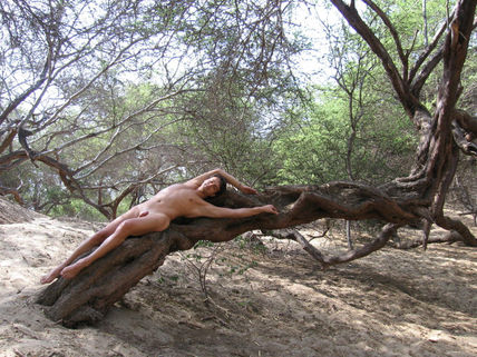 Serie El Oasis:...