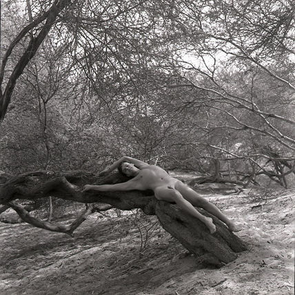 Serie El Oasis:...
