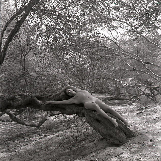 Serie El Oasis: "Fusion Hombre y Naturaleza 6"