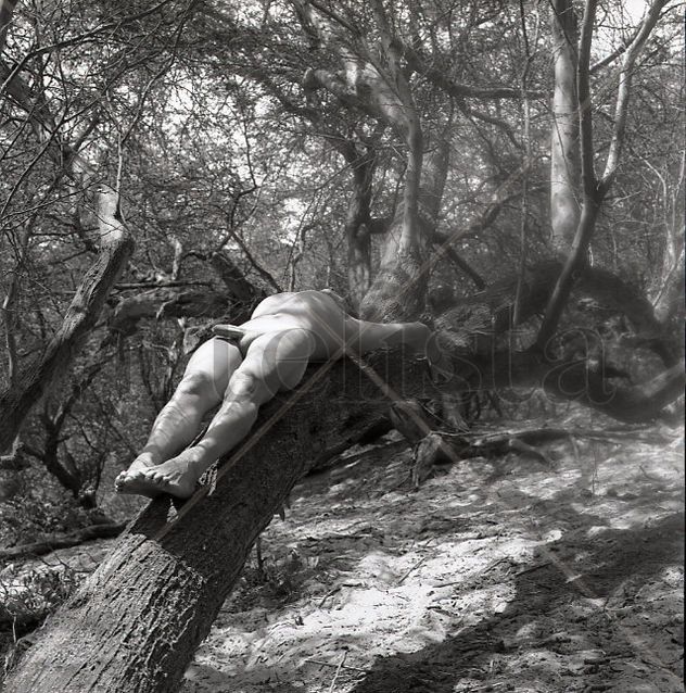Serie El Oasis: "Fusion Hombre y Naturaleza 8"