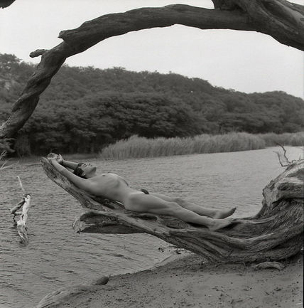 Serie El Oasis:...