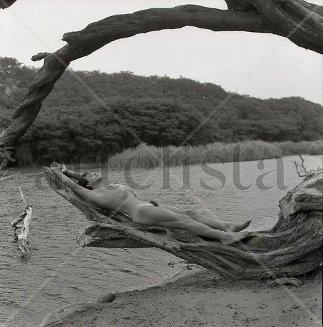 Serie El Oasis:...