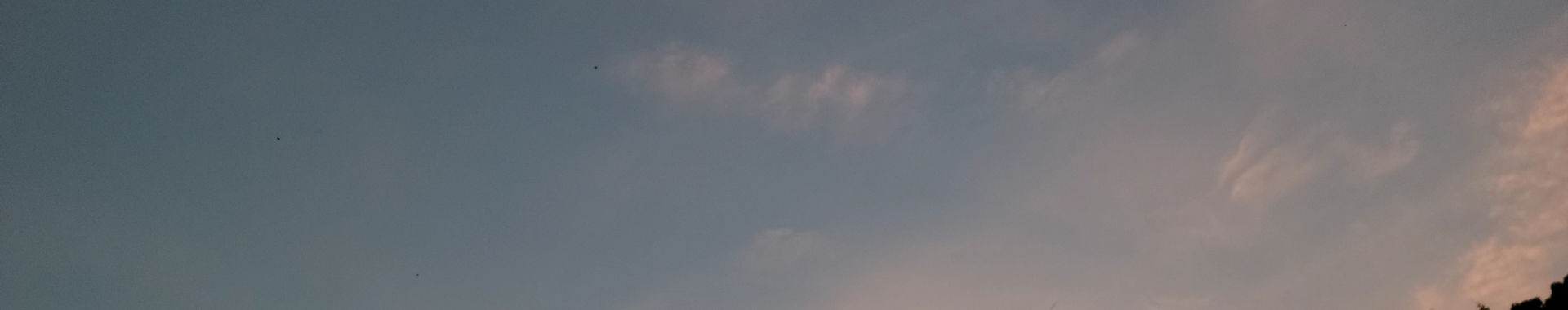 Imagen de portada