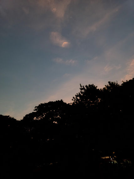 Sunrise vibe