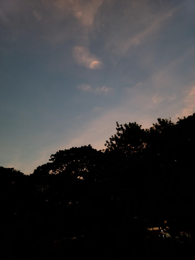 Sunrise vibe