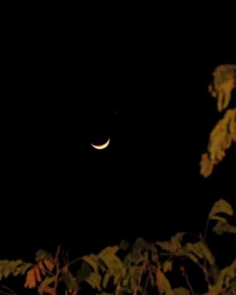 Moon light