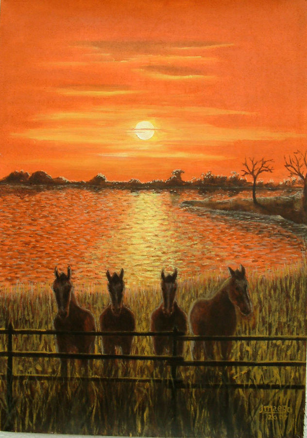 atardecer 3