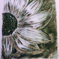 Pétalo — frontal