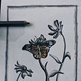 Vida — frontal