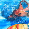 Caretta-atteraC — detalle