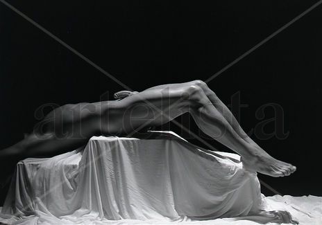 Series La Ofrenda:...