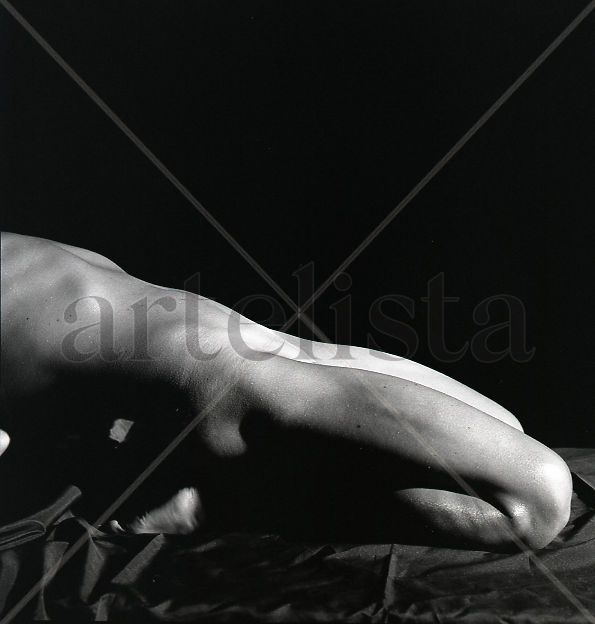 Serie Contrastes: Modelo de Rodillas 5