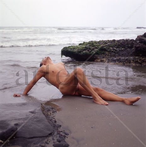 Ocean Series:...