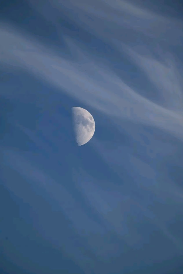 moon in the mist