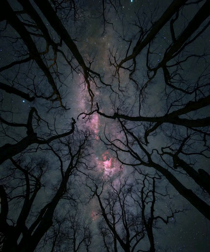Starry night sky