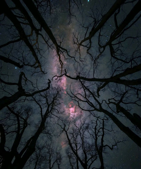 Starry night sky
