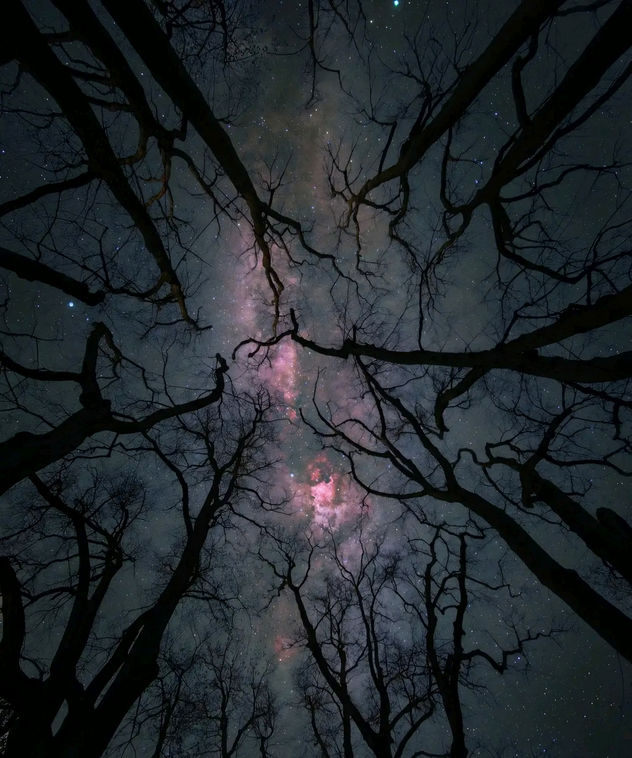 starry night sky