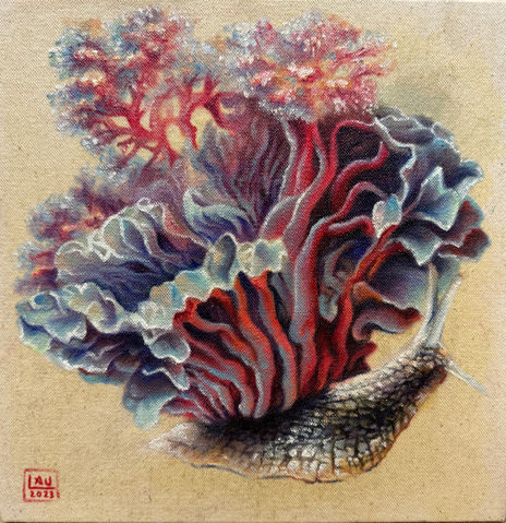 Coralino