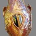 GOLDEN BOAR — frontal
